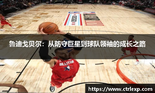 中欧体育官网