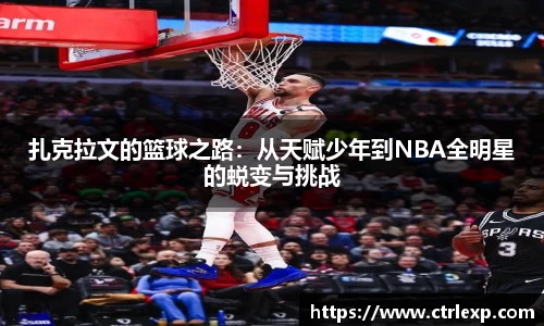 中欧体育