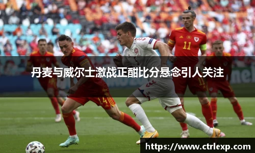 中欧体育